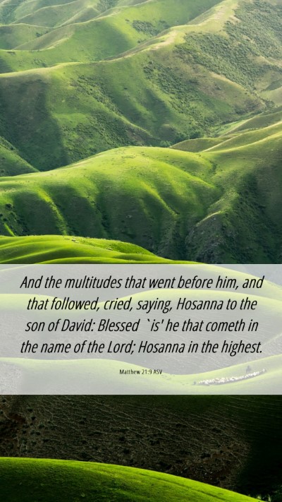 Picture 06 - Matthew 21:9 ASV Mobile Phone Wallpaper - And the multitudes that went before him, and that - Mobile Bible Verse Wallpaper