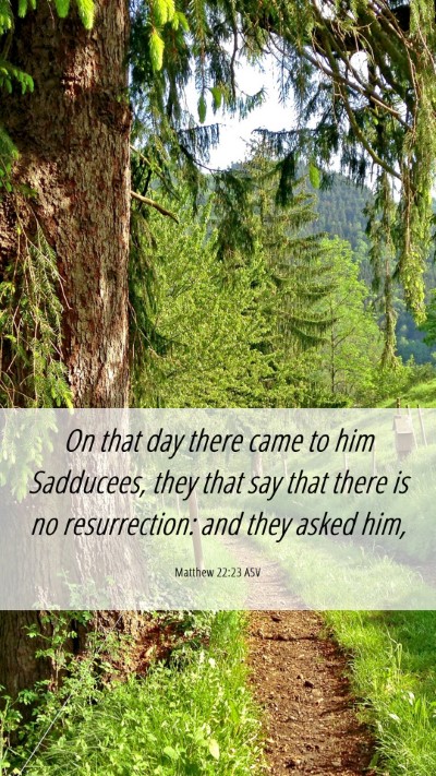Picture 06 - Matthew 22:23 ASV Mobile Phone Wallpaper - On that day there came to him Sadducees, they - Mobile Bible Verse Wallpaper
