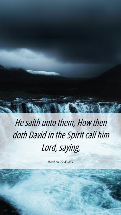 Picture 06 - Matthew 22:43 ASV Mobile Phone Wallpaper - He saith unto them, How then doth David in the - Mobile Bible Verse Wallpaper