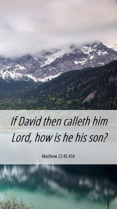 Picture 06 - Matthew 22:45 ASV Mobile Phone Wallpaper - If David then calleth him Lord, how is he his - Mobile Bible Verse Wallpaper