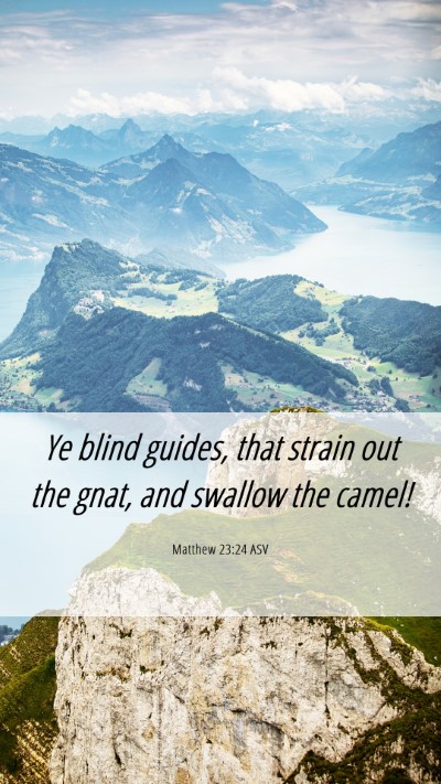 Picture 06 - Matthew 23:24 ASV Mobile Phone Wallpaper - Ye blind guides, that strain out the gnat, and - Mobile Bible Verse Wallpaper