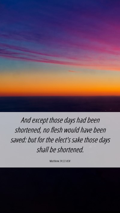 Picture 06 - Matthew 24:22 ASV Mobile Phone Wallpaper - And except those days had been shortened, no - Mobile Bible Verse Wallpaper