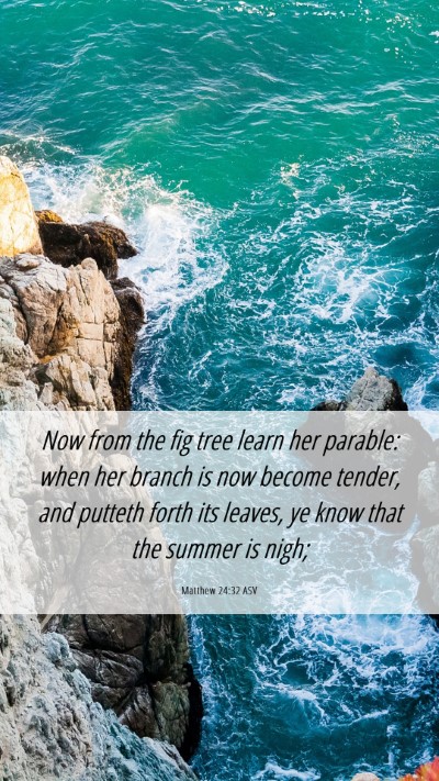 Picture 06 - Matthew 24:32 ASV Mobile Phone Wallpaper - Now from the fig tree learn her parable: when her - Mobile Bible Verse Wallpaper