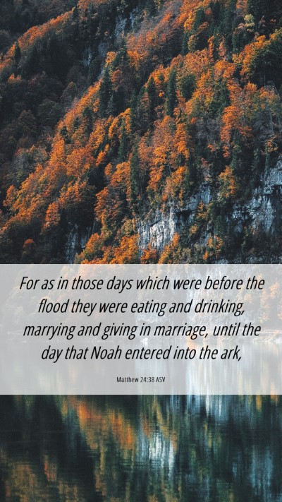 Picture 06 - Matthew 24:38 ASV Mobile Phone Wallpaper - For as in those days which were before the flood - Mobile Bible Verse Wallpaper