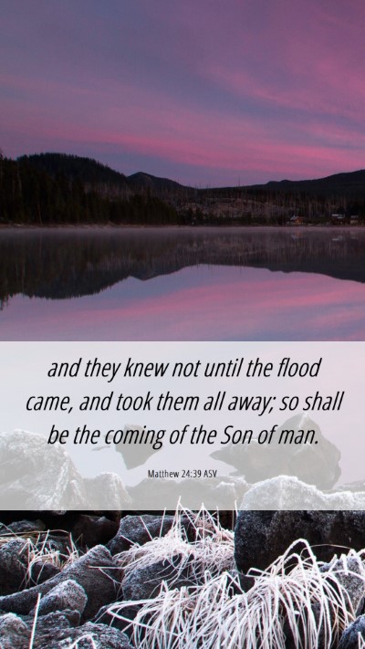 Picture 06 - Matthew 24:39 ASV Mobile Phone Wallpaper - and they knew not until the flood came, and took - Mobile Bible Verse Wallpaper