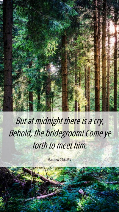 Picture 06 - Matthew 25:6 ASV Mobile Phone Wallpaper - But at midnight there is a cry, Behold, the - Mobile Bible Verse Wallpaper