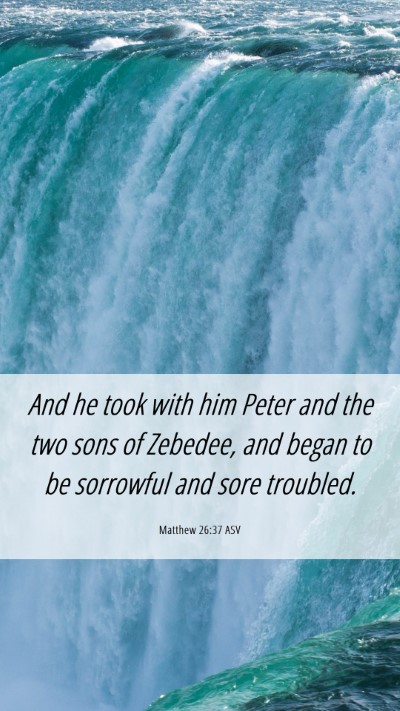 Picture 06 - Matthew 26:37 ASV Mobile Phone Wallpaper - And he took with him Peter and the two sons of - Mobile Bible Verse Wallpaper