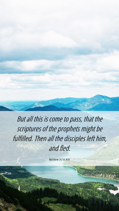 Picture 06 - Matthew 26:56 ASV Mobile Phone Wallpaper - But all this is come to pass, that the scriptures - Mobile Bible Verse Wallpaper