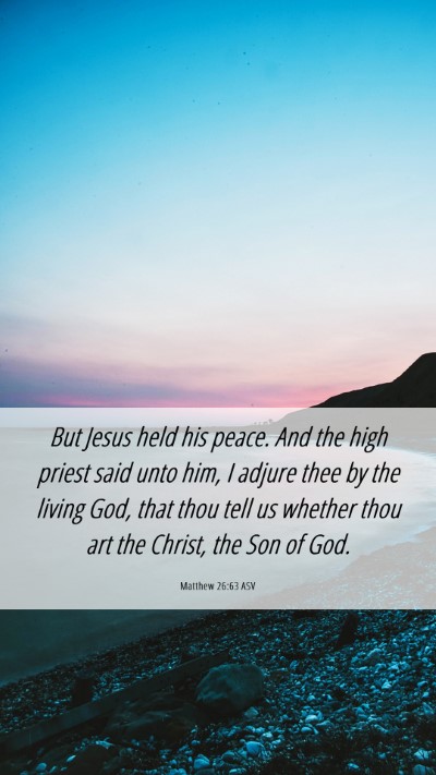Picture 06 - Matthew 26:63 ASV Mobile Phone Wallpaper - But Jesus held his peace. And the high priest - Mobile Bible Verse Wallpaper
