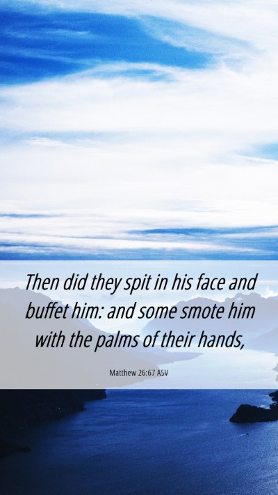 Picture 06 - Matthew 26:67 ASV Mobile Phone Wallpaper - Then did they spit in his face and buffet him: - Mobile Bible Verse Wallpaper