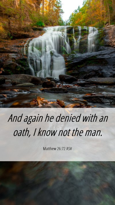 Picture 06 - Matthew 26:72 ASV Mobile Phone Wallpaper - And again he denied with an oath, I know not the - Mobile Bible Verse Wallpaper