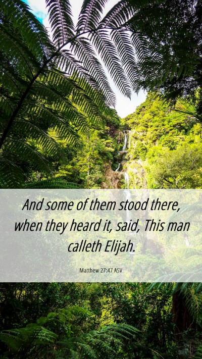 Picture 06 - Matthew 27:47 ASV Mobile Phone Wallpaper - And some of them stood there, when they heard it, - Mobile Bible Verse Wallpaper