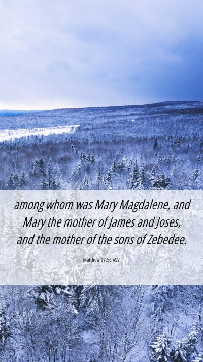 Picture 06 - Matthew 27:56 ASV Mobile Phone Wallpaper - among whom was Mary Magdalene, and Mary the - Mobile Bible Verse Wallpaper