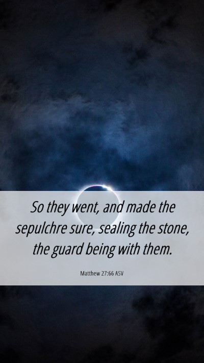 Picture 06 - Matthew 27:66 ASV Mobile Phone Wallpaper - So they went, and made the sepulchre sure, - Mobile Bible Verse Wallpaper