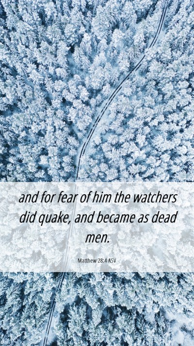 Picture 06 - Matthew 28:4 ASV Mobile Phone Wallpaper - and for fear of him the watchers did quake, and - Mobile Bible Verse Wallpaper