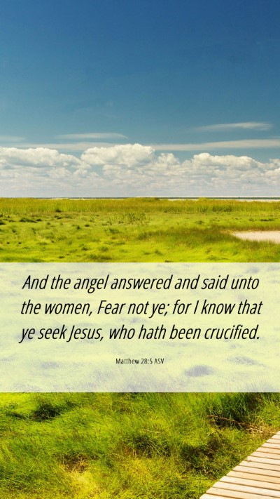 Picture 06 - Matthew 28:5 ASV Mobile Phone Wallpaper - And the angel answered and said unto the women, - Mobile Bible Verse Wallpaper