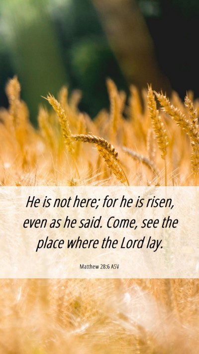 Picture 06 - Matthew 28:6 ASV Mobile Phone Wallpaper - He is not here; for he is risen, even as he said. - Mobile Bible Verse Wallpaper