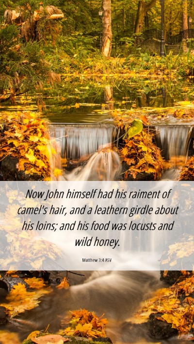 Picture 06 - Matthew 3:4 ASV Mobile Phone Wallpaper - Now John himself had his raiment of camel's hair, - Mobile Bible Verse Wallpaper