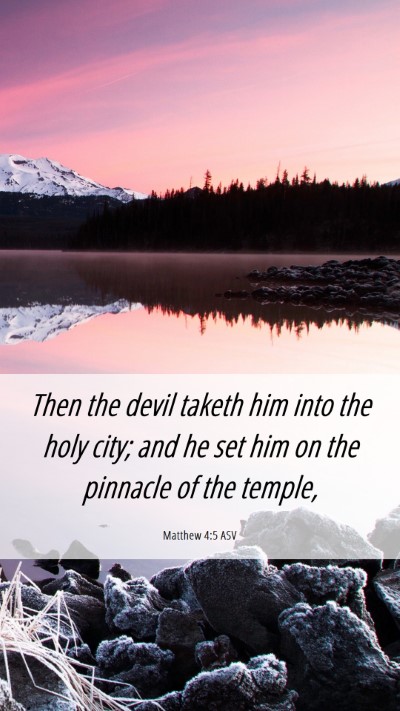 Picture 06 - Matthew 4:5 ASV Mobile Phone Wallpaper - Then the devil taketh him into the holy city; and - Mobile Bible Verse Wallpaper