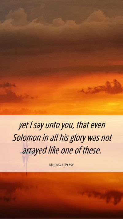 Picture 06 - Matthew 6:29 ASV Mobile Phone Wallpaper - yet I say unto you, that even Solomon in all his - Mobile Bible Verse Wallpaper