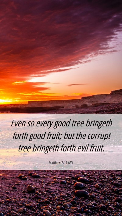 Picture 06 - Matthew 7:17 ASV Mobile Phone Wallpaper - Even so every good tree bringeth forth good - Mobile Bible Verse Wallpaper