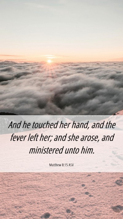 Picture 06 - Matthew 8:15 ASV Mobile Phone Wallpaper - And he touched her hand, and the fever left her; - Mobile Bible Verse Wallpaper