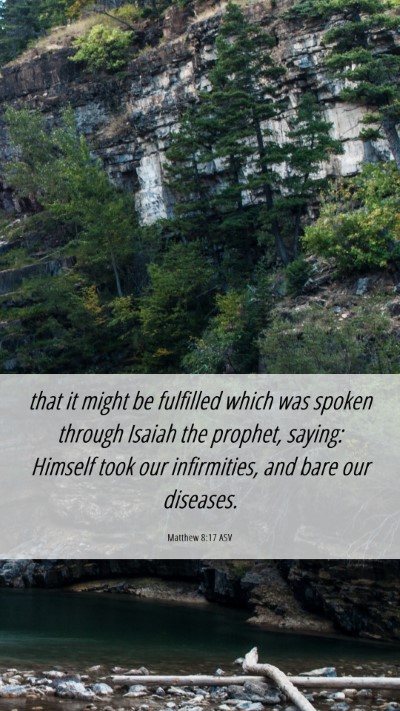 Picture 06 - Matthew 8:17 ASV Mobile Phone Wallpaper - that it might be fulfilled which was spoken - Mobile Bible Verse Wallpaper