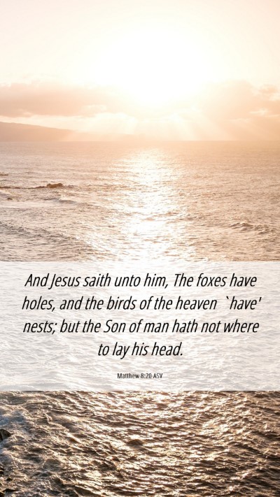 Picture 06 - Matthew 8:20 ASV Mobile Phone Wallpaper - And Jesus saith unto him, The foxes have holes, - Mobile Bible Verse Wallpaper