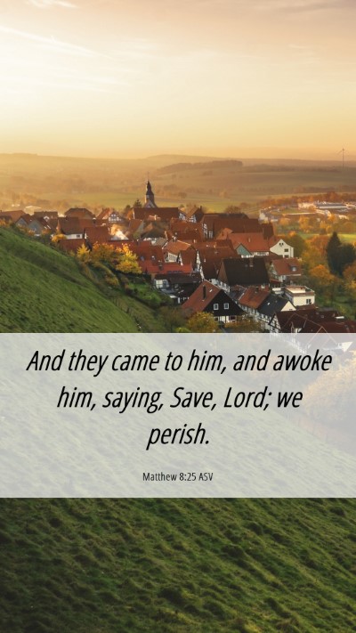 Picture 06 - Matthew 8:25 ASV Mobile Phone Wallpaper - And they came to him, and awoke him, saying, - Mobile Bible Verse Wallpaper