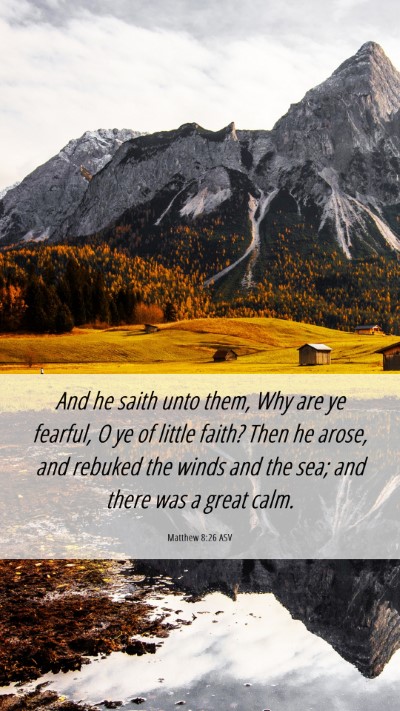 Picture 06 - Matthew 8:26 ASV Mobile Phone Wallpaper - And he saith unto them, Why are ye fearful, O ye - Mobile Bible Verse Wallpaper