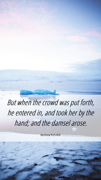 Picture 06 - Matthew 9:25 ASV Mobile Phone Wallpaper - But when the crowd was put forth, he entered in, - Mobile Bible Verse Wallpaper