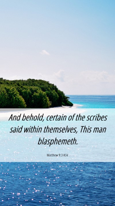 Picture 06 - Matthew 9:3 ASV Mobile Phone Wallpaper - And behold, certain of the scribes said within - Mobile Bible Verse Wallpaper