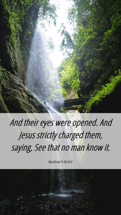 Picture 06 - Matthew 9:30 ASV Mobile Phone Wallpaper - And their eyes were opened. And Jesus strictly - Mobile Bible Verse Wallpaper
