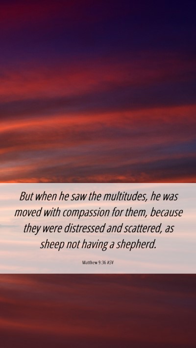 Picture 06 - Matthew 9:36 ASV Mobile Phone Wallpaper - But when he saw the multitudes, he was moved with - Mobile Bible Verse Wallpaper
