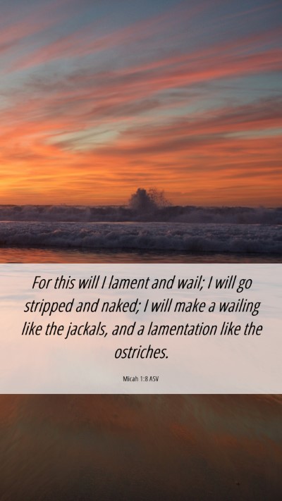 Picture 06 - Micah 1:8 ASV Mobile Phone Wallpaper - For this will I lament and wail; I will go - Mobile Bible Verse Wallpaper