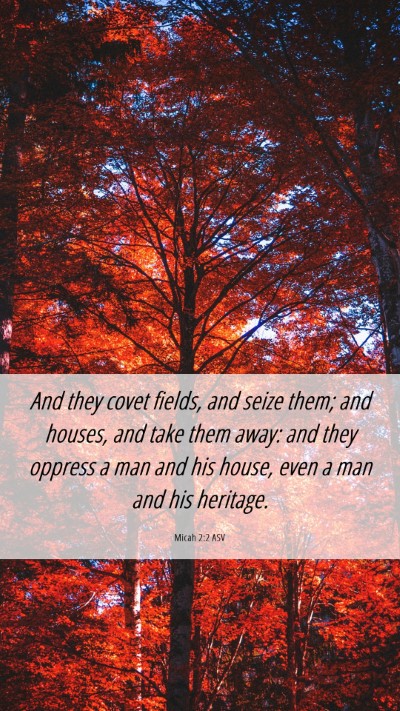 Picture 06 - Micah 2:2 ASV Mobile Phone Wallpaper - And they covet fields, and seize them; and - Mobile Bible Verse Wallpaper