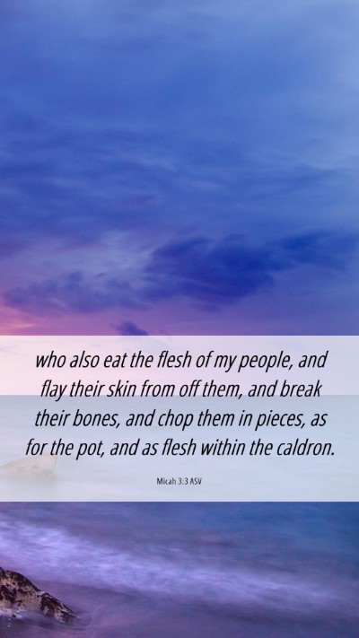 Picture 06 - Micah 3:3 ASV Mobile Phone Wallpaper - who also eat the flesh of my people, and flay - Mobile Bible Verse Wallpaper