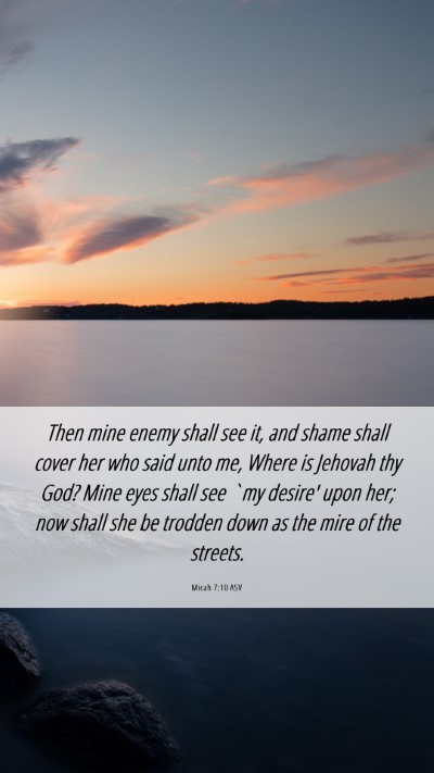Picture 06 - Micah 7:10 ASV Mobile Phone Wallpaper - Then mine enemy shall see it, and shame shall - Mobile Bible Verse Wallpaper
