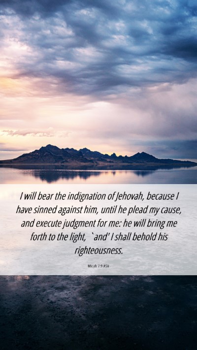 Picture 06 - Micah 7:9 ASV Mobile Phone Wallpaper - I will bear the indignation of Jehovah, because I - Mobile Bible Verse Wallpaper