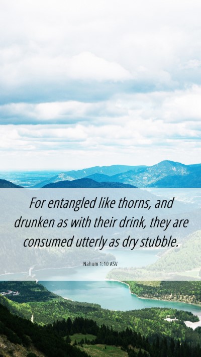 Picture 06 - Nahum 1:10 ASV Mobile Phone Wallpaper - For entangled like thorns, and drunken as with - Mobile Bible Verse Wallpaper