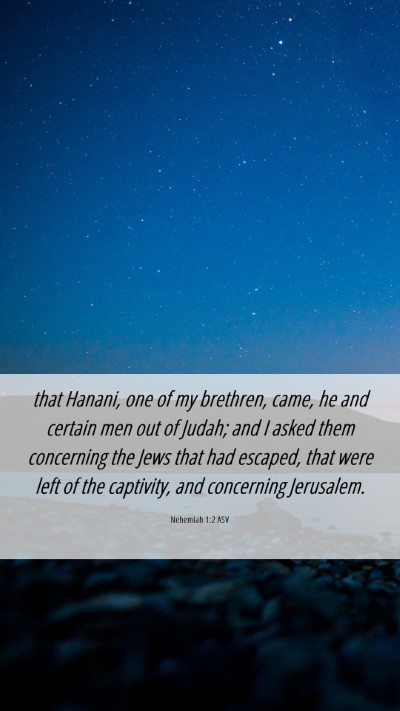 Picture 06 - Nehemiah 1:2 ASV Mobile Phone Wallpaper - that Hanani, one of my brethren, came, he and - Mobile Bible Verse Wallpaper