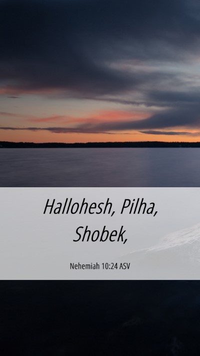 Picture 06 - Nehemiah 10:24 ASV Mobile Phone Wallpaper - Hallohesh, Pilha, - Mobile Bible Verse Wallpaper