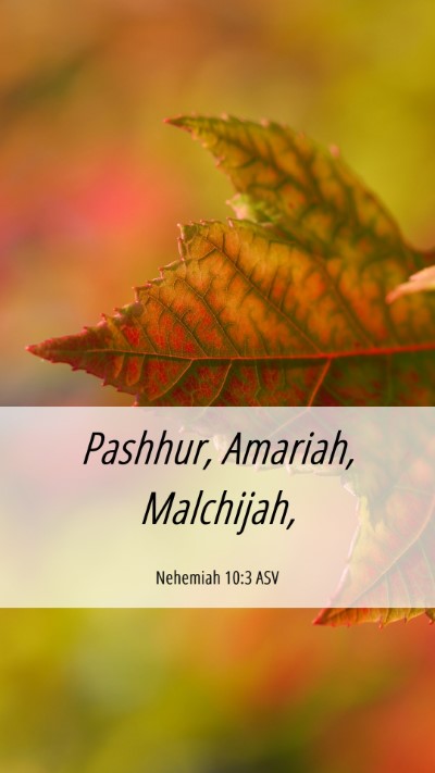 Picture 06 - Nehemiah 10:3 ASV Mobile Phone Wallpaper - Pashhur, Amariah, - Mobile Bible Verse Wallpaper