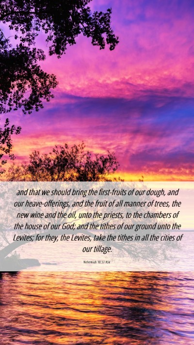 Picture 06 - Nehemiah 10:37 ASV Mobile Phone Wallpaper - and that we should bring the first-fruits of our - Mobile Bible Verse Wallpaper