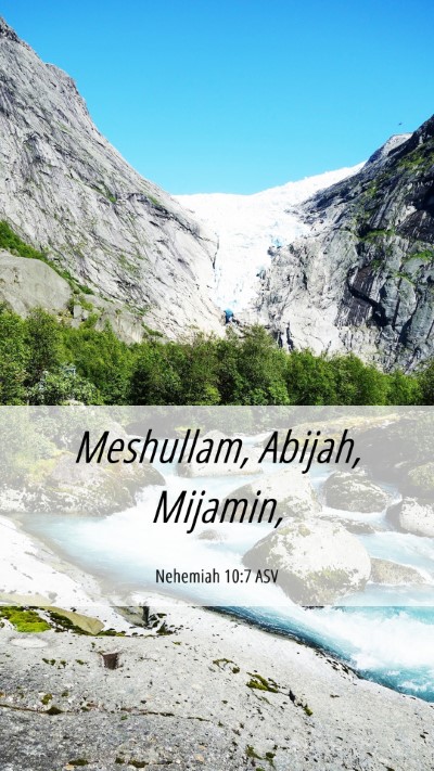 Picture 06 - Nehemiah 10:7 ASV Mobile Phone Wallpaper - Meshullam, Abijah, - Mobile Bible Verse Wallpaper