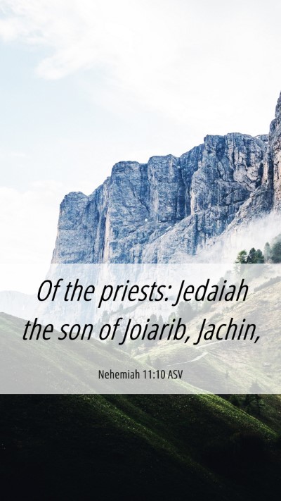 Picture 06 - Nehemiah 11:10 ASV Mobile Phone Wallpaper - Of the priests: Jedaiah the son of Joiarib, - Mobile Bible Verse Wallpaper