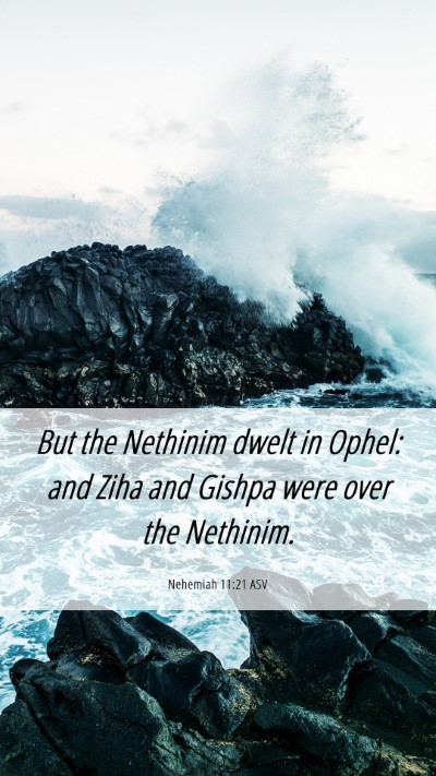 Picture 06 - Nehemiah 11:21 ASV Mobile Phone Wallpaper - But the Nethinim dwelt in Ophel: and Ziha and - Mobile Bible Verse Wallpaper