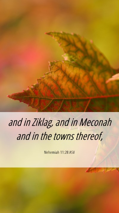 Picture 06 - Nehemiah 11:28 ASV Mobile Phone Wallpaper - and in Ziklag, and in Meconah and in the towns - Mobile Bible Verse Wallpaper