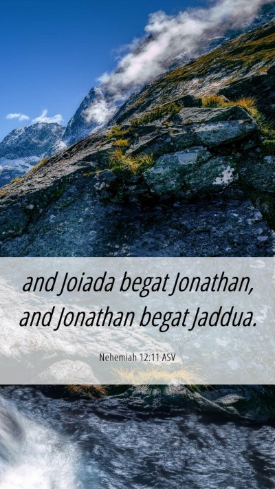 Picture 06 - Nehemiah 12:11 ASV Mobile Phone Wallpaper - and Joiada begat Jonathan, and Jonathan begat - Mobile Bible Verse Wallpaper