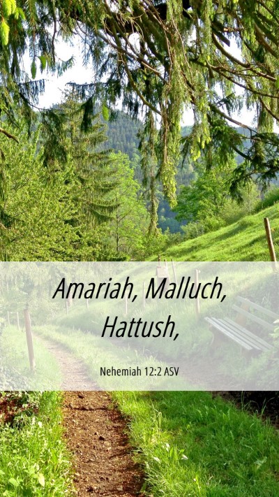 Picture 06 - Nehemiah 12:2 ASV Mobile Phone Wallpaper - Amariah, Malluch, - Mobile Bible Verse Wallpaper